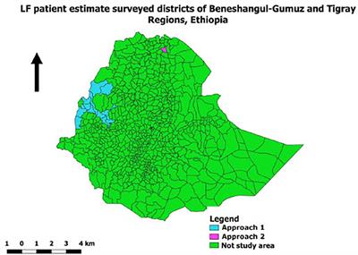 Comparing different lymphatic filariasis patient estimate approaches and results in Ethiopia